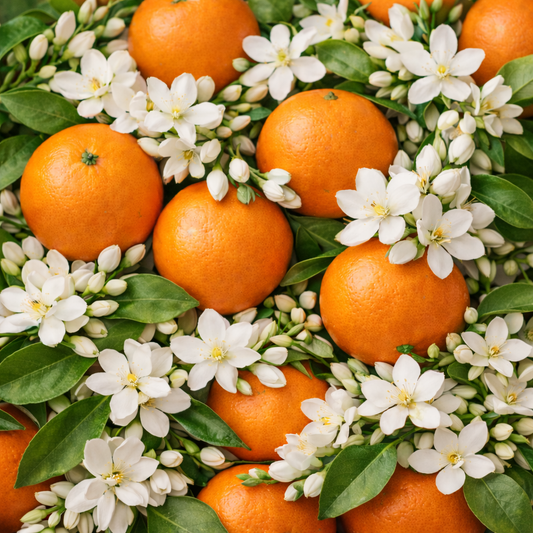 Fleur D'Oranger Candle