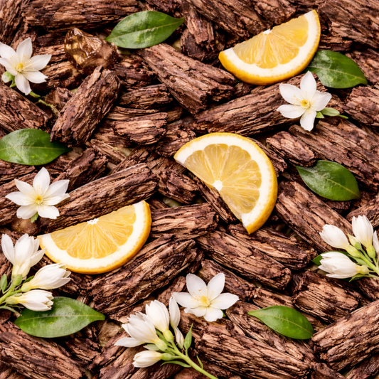 Marie Antoinette Candle